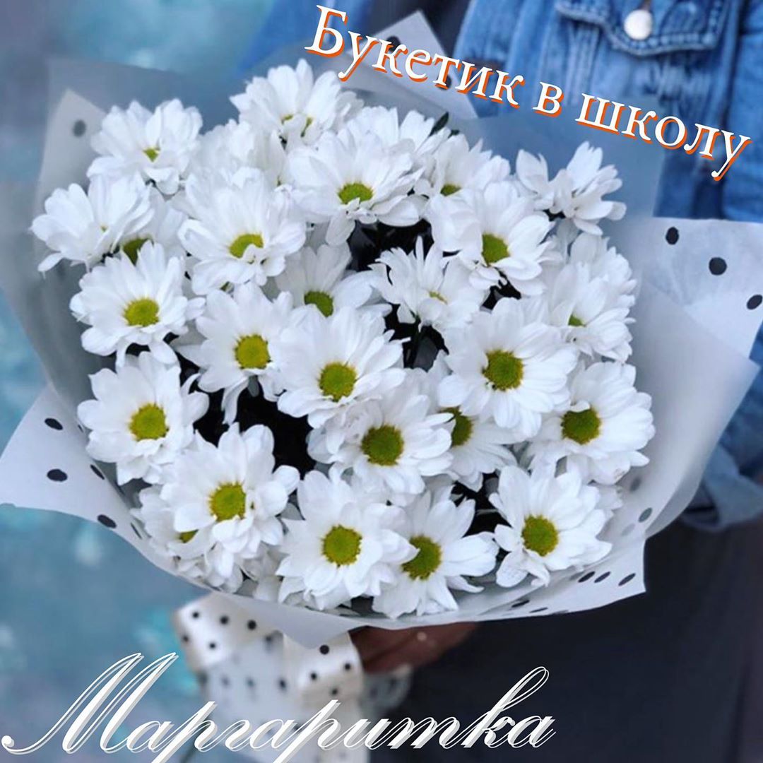 Вечно прекрасный