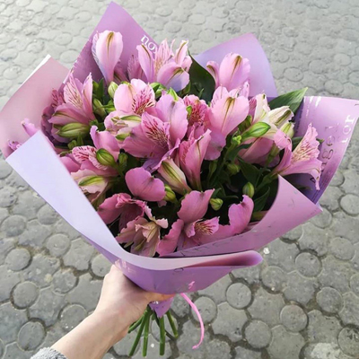 Лавандовые сны
