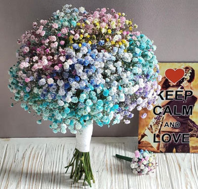 Гипсофила радужная