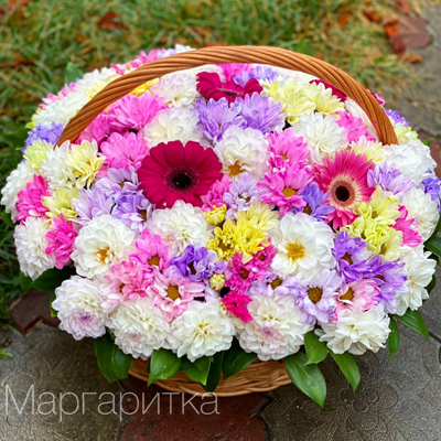 Белоснежная поляна