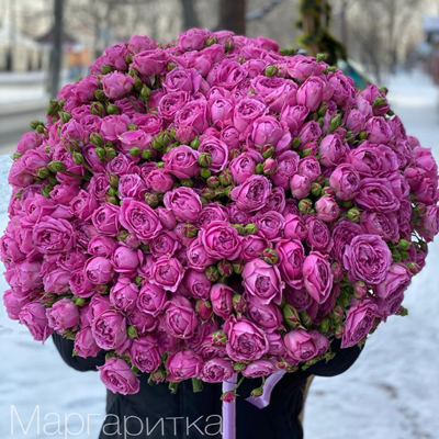101 Пионовидная роза