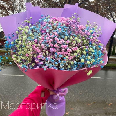11 Гипсофил 2