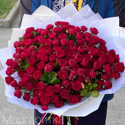 Пионовидная красная