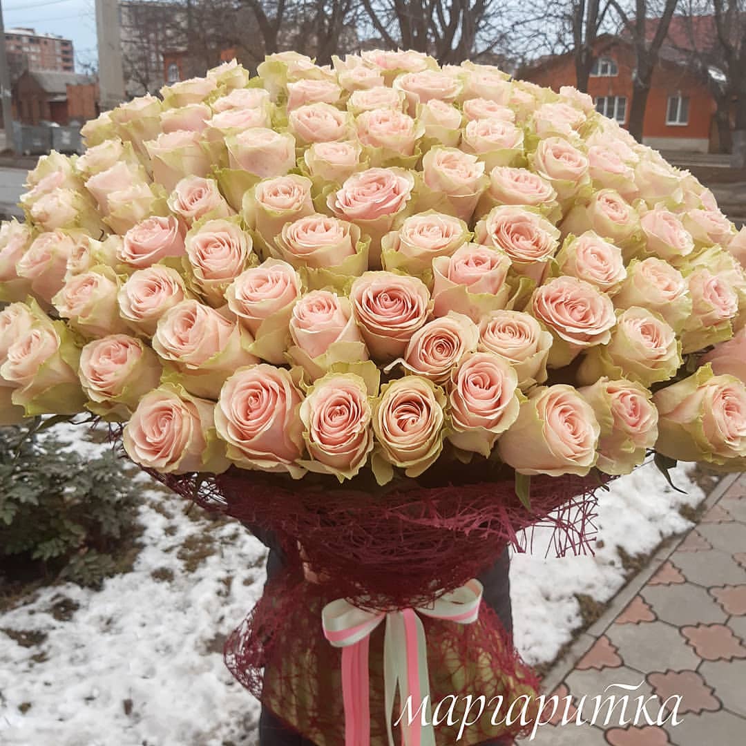 101 Облако нежности