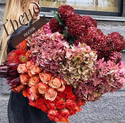 Новинка осени 2022