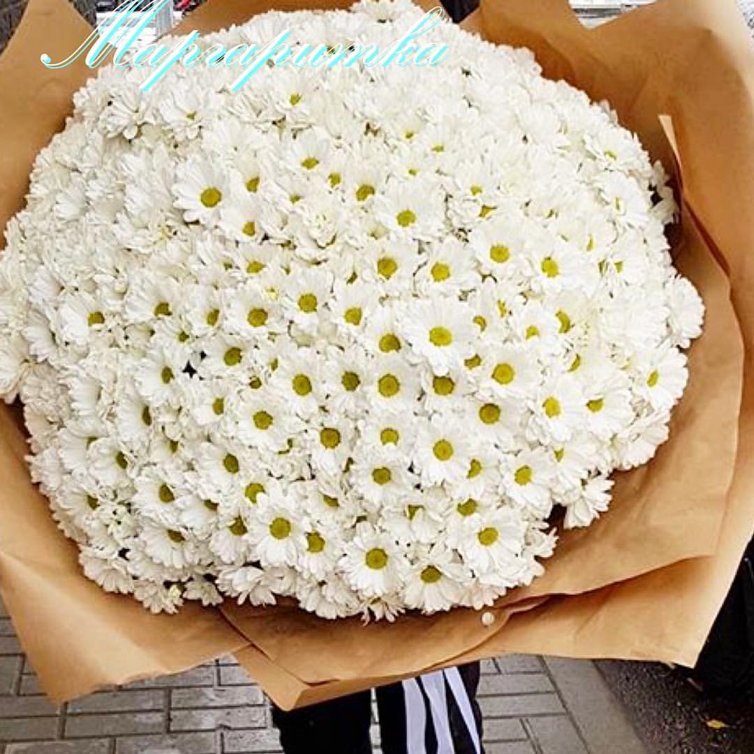 Букет из крупных ромашек